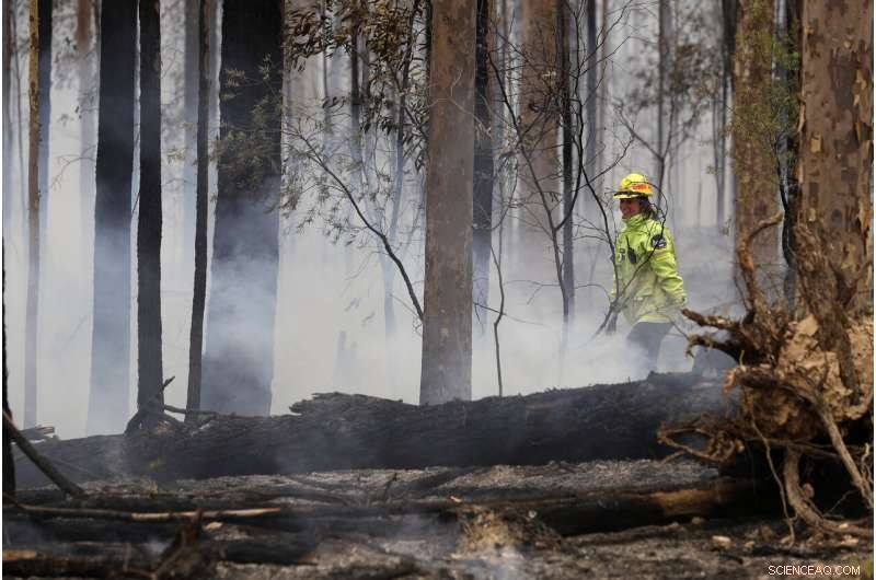 Australia Turns to Aggressive Tactics in Wildfire Battle