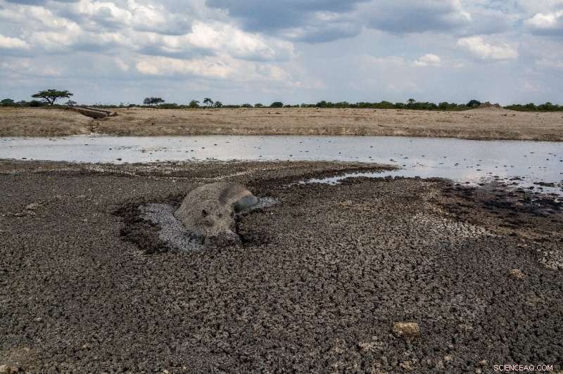 Drought Fuels Human‑Wildlife Conflict in Zimbabwe