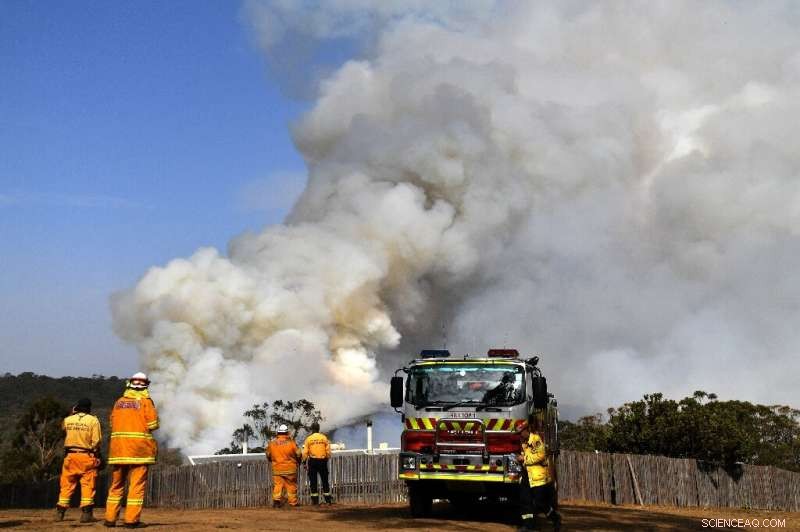 Australia Bushfires Still Struggle as Rain Offers Brief Relief