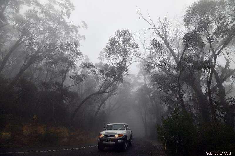 Australia Bushfires Still Struggle as Rain Offers Brief Relief