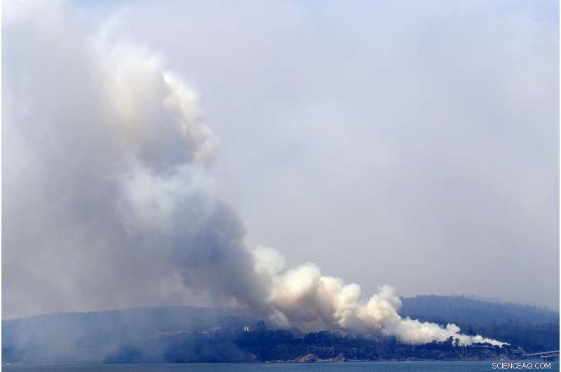 Two Australian Wildfires Merge into Massive Inferno, Injuring a Man