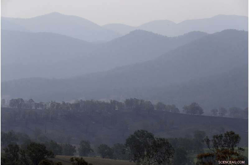 Two Australian Wildfires Merge into Massive Inferno, Injuring a Man