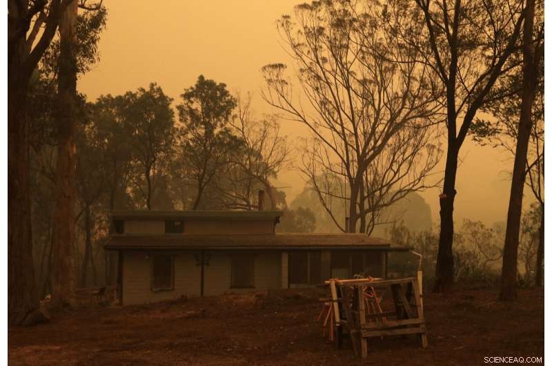 Two Australian Wildfires Merge into Massive Inferno, Injuring a Man