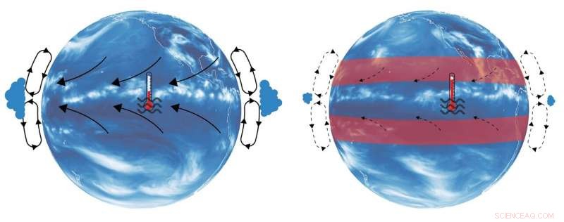 Subtropical Warming Triggers Accelerated Tropical Climate Change