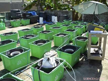 Investigating Whether Climate Change Causes Sinking Soils in the Everglades