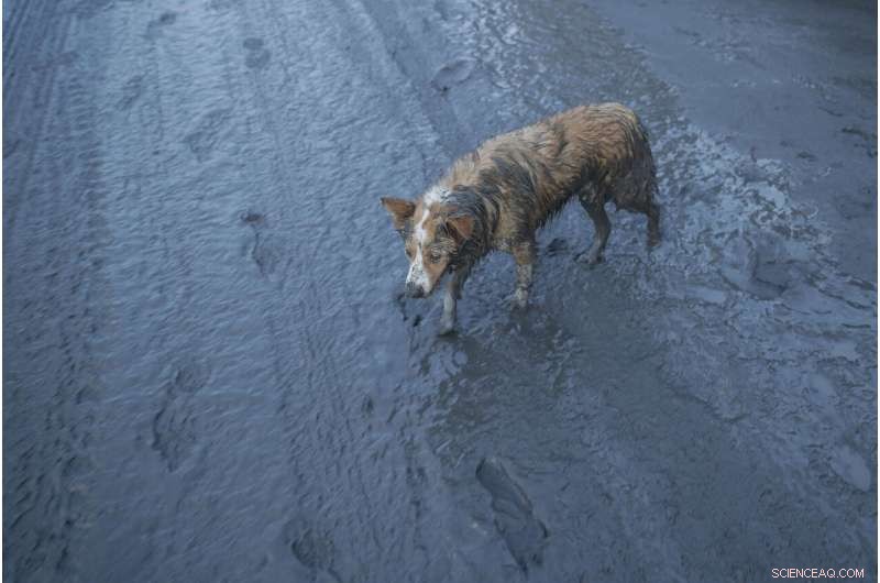 Taal Volcano Eruption: Lava Surges, Tens of Thousands Evacuated Near Manila