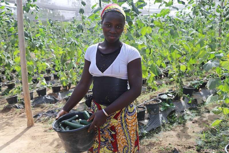 Assessing Solar Geoengineering: A Dual Path to Climate Stabilization and Income Equality