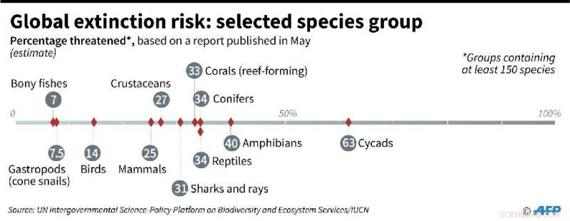 UN Sets Goal to Protect 30% of Earth by 2030 in New Nature Rescue Plan
