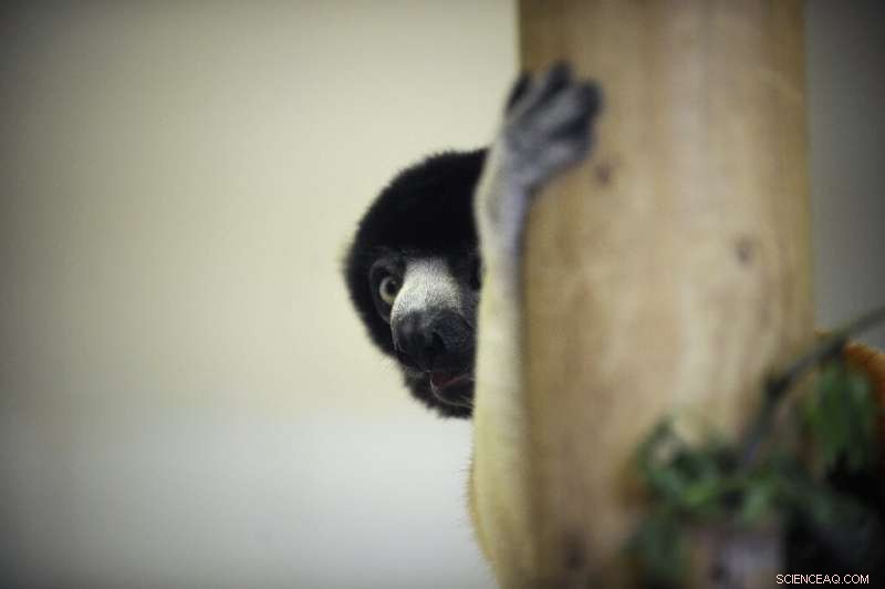 UN Sets Goal to Protect 30% of Earth by 2030 in New Nature Rescue Plan