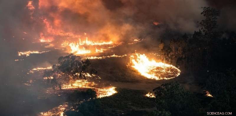Why This Australian Bushfire Season Is Worse Than Past Outbreaks: Key Facts You Should Know