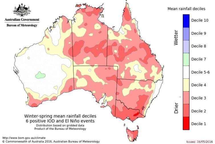Why This Australian Bushfire Season Is Worse Than Past Outbreaks: Key Facts You Should Know