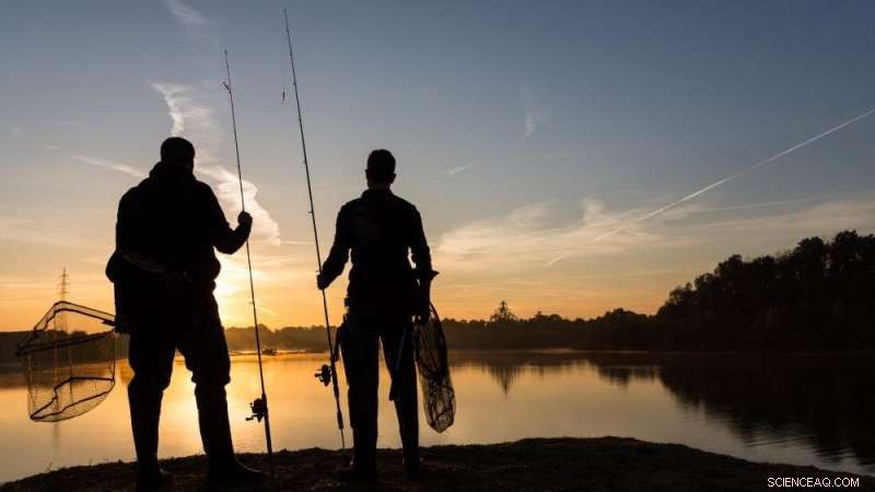 Environmental Stakeholders Match Scientists in Insight—A Collective Intelligence Study