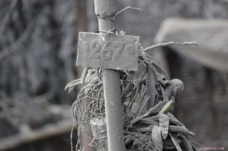 Taal Volcano Shakes Intensely, Erupts Lava Plumes Half-Mile High