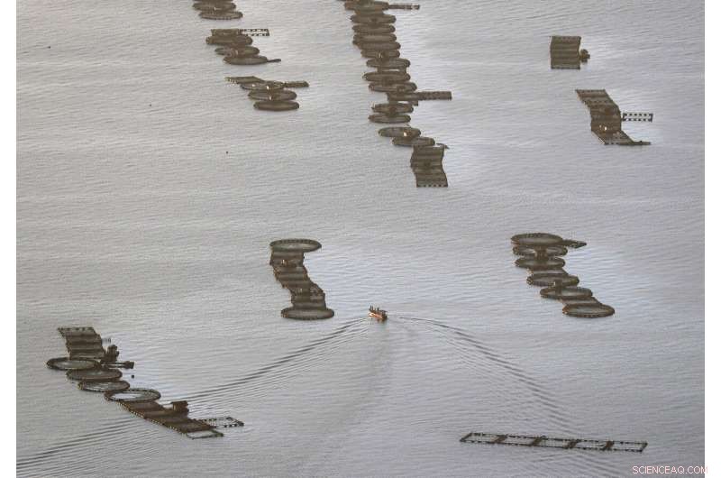 Taal Volcano Shakes Intensely, Erupts Lava Plumes Half-Mile High