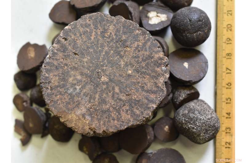 Why Ocean Floor Nodules Remain Exposed Despite Sediment Shifts