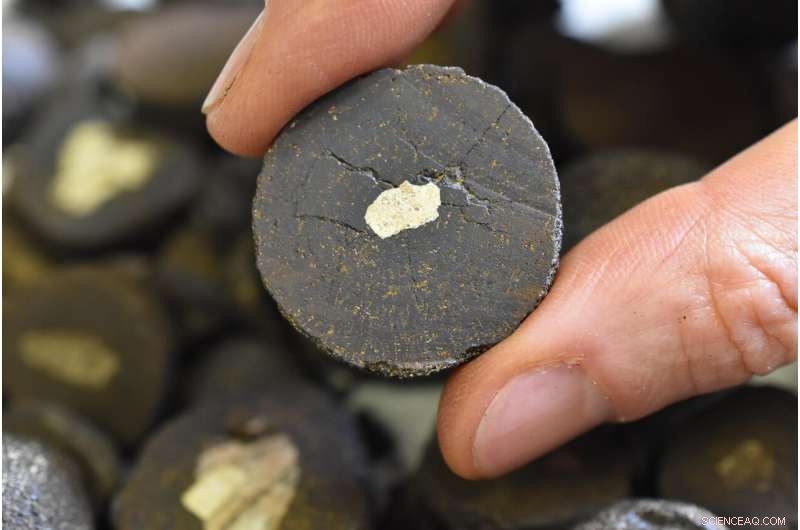 Why Ocean Floor Nodules Remain Exposed Despite Sediment Shifts