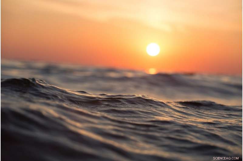 Oceans Hit Record High Temperatures in 2019