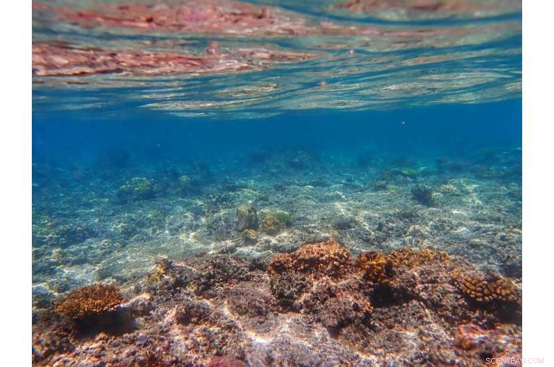 Record Ocean Heat: 3.6 Billion Hiroshima-Equivalent Explosions in 25 Years