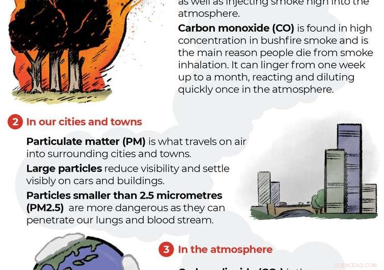 Understanding the Health Risks of Bushfire Smoke: What You re Inhaling
