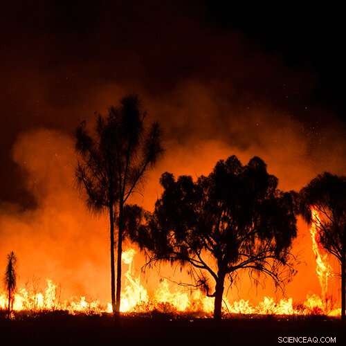 Expert Urges Strengthening Fire-Lines to Future-Proof Communities Against Bushfire Catastrophes