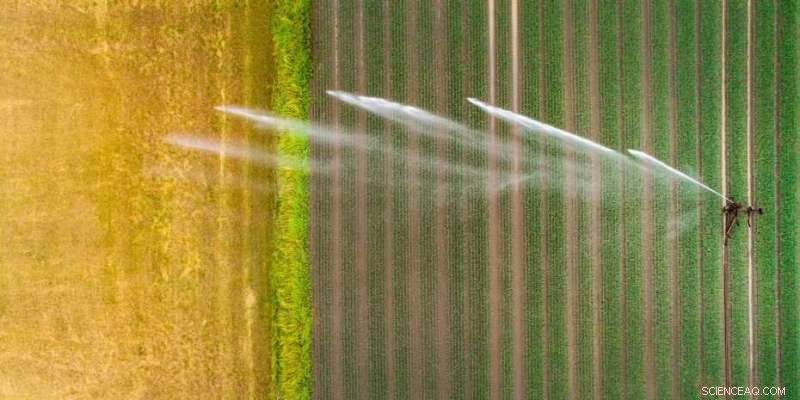 How Expanding Irrigation Helps Cool Extreme Heat Events