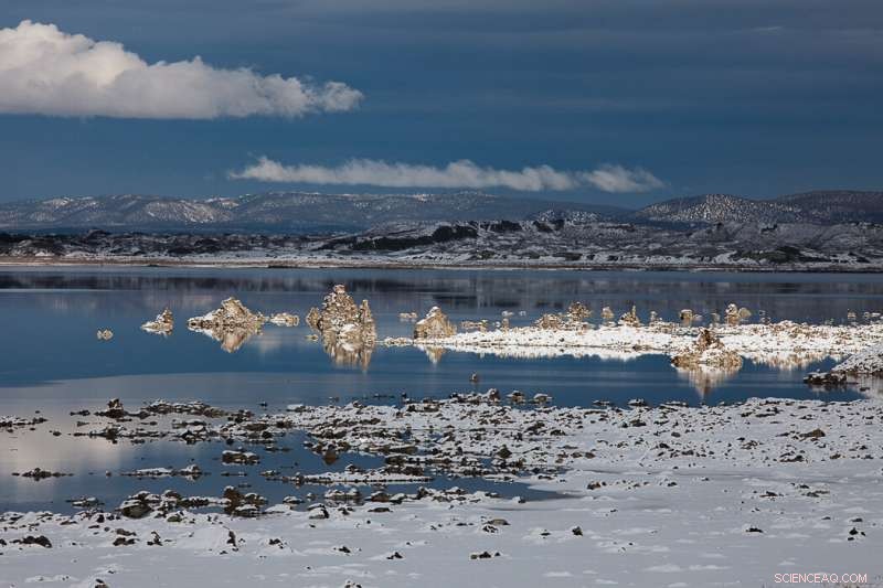 Microbes Thrive Amid Extreme Conditions at California s Mono Lake