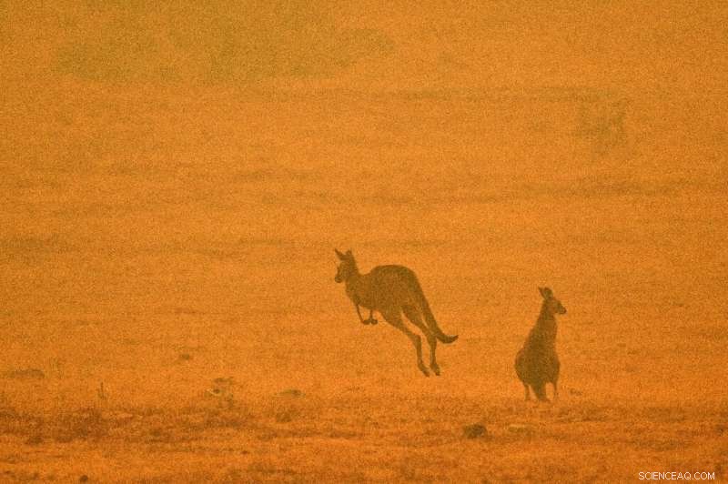 UN Warns of Rising Extreme Weather After Record-High Decade