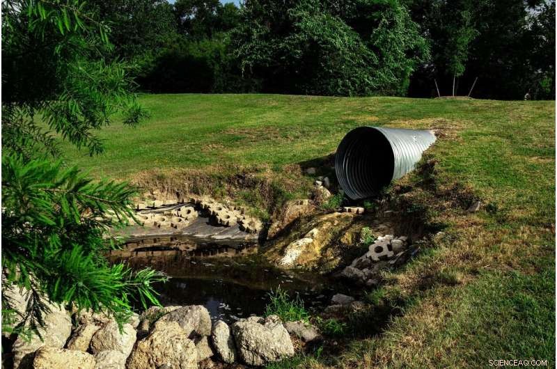 Scientists Confirm Innovative Tech Converts Sewage Sludge into Fertilizer More Efficiently