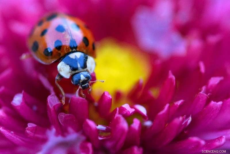 Germany Announces €3.6 bn Investment to Accelerate Bio‑Economy Growth