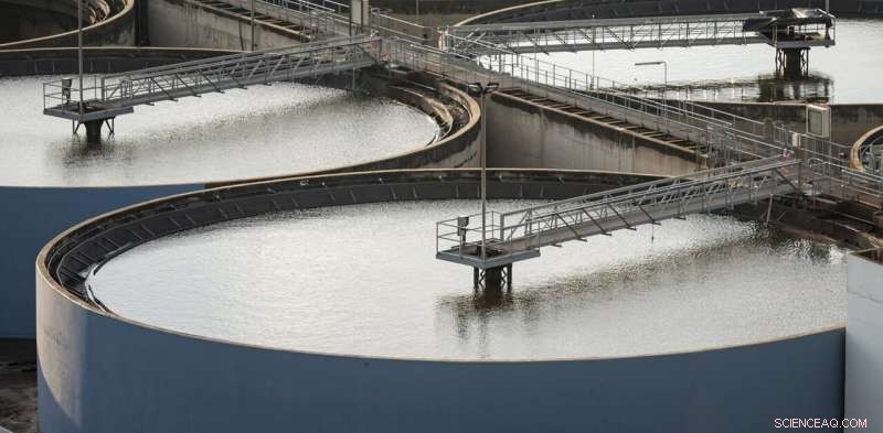 Microwave Treatment of Sewage Turns Waste into Safe Crop Fertilizer