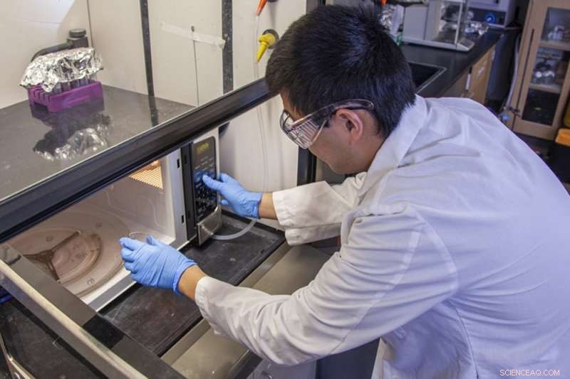 Microwave Treatment of Sewage Turns Waste into Safe Crop Fertilizer