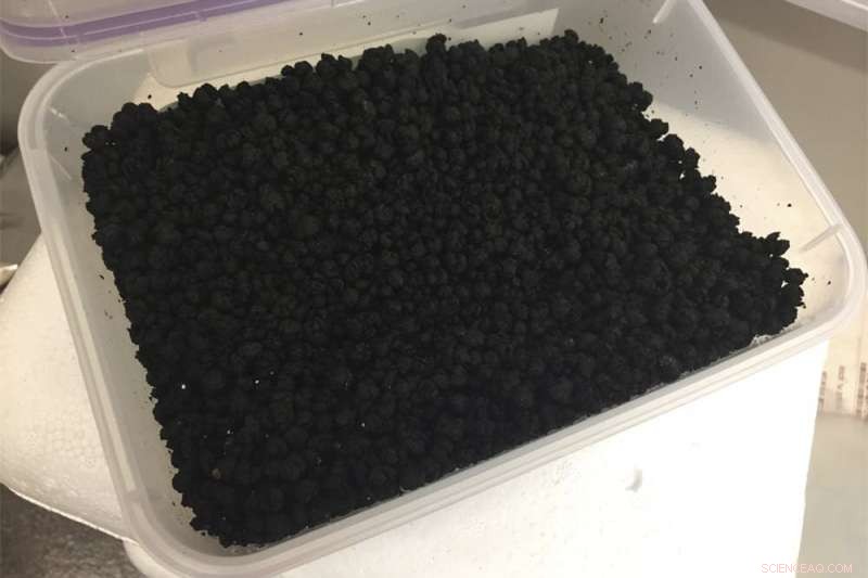 Microwave Treatment of Sewage Turns Waste into Safe Crop Fertilizer