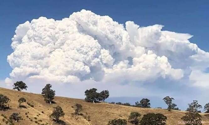 Bushfires That Forge Their Own Weather Systems