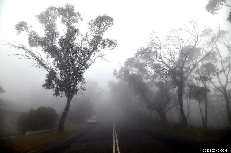Rain Offers Relief to Australia s Ongoing Bushfire Recovery