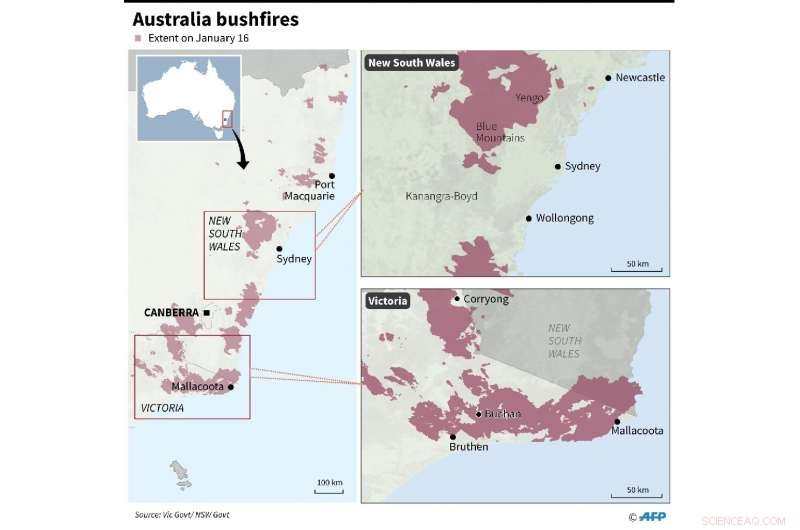 Rain Brings Relief to Australian Firefighters and Farmers Amid Ongoing Bushfires