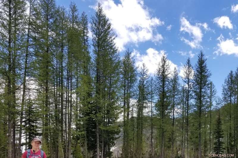 Confronting Prolonged, Intense Fire Seasons