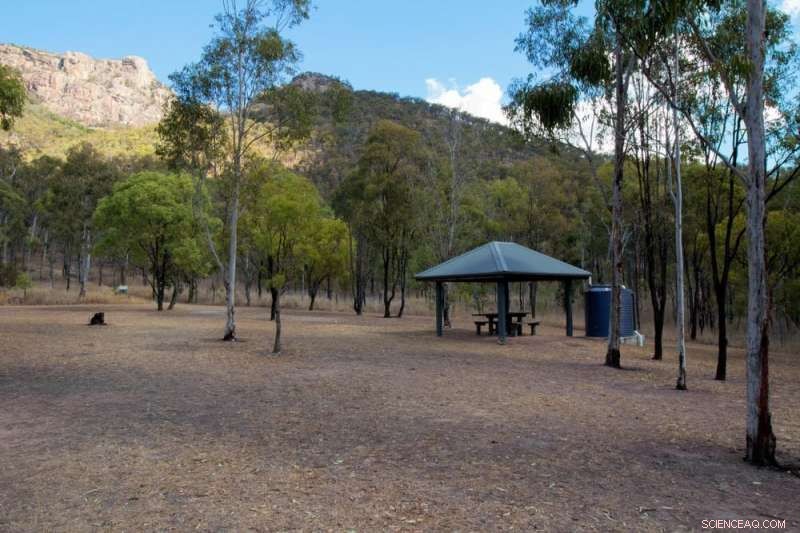 Rethinking Post-Fire Reconstruction: Prioritizing Location & Design for Safer Communities