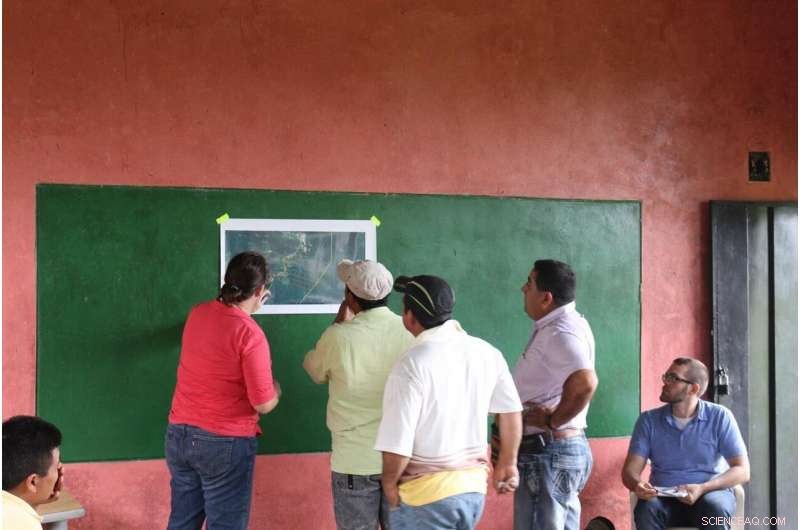 Driving Global Forest Restoration: The Imperative for Transformational Innovation