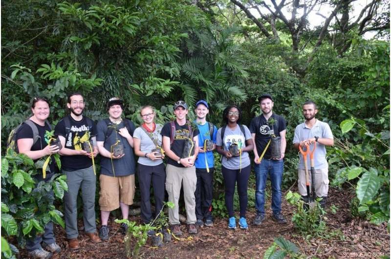 Driving Global Forest Restoration: The Imperative for Transformational Innovation