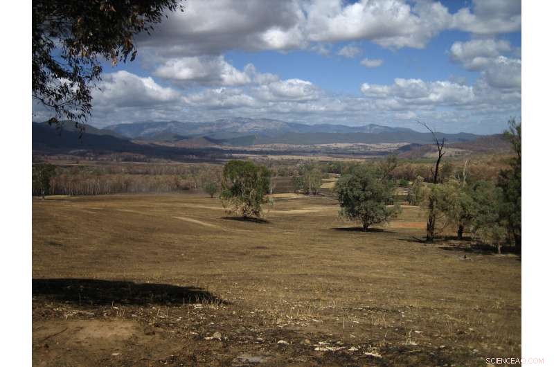 Australia s Wildfires: A Looming Crisis of Irreversible Forest Loss