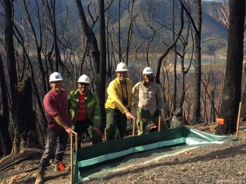 Bushfires and Storms Endanger Water Supplies: What You Need to Know