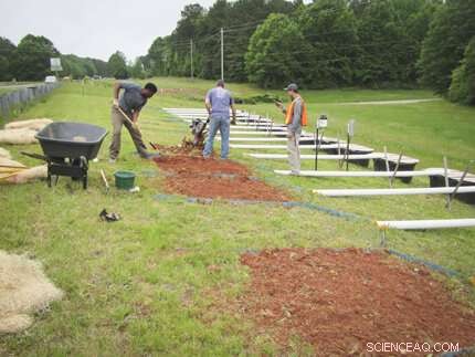 Restoring Roadside Soils After Construction: Proven Strategies and Outcomes