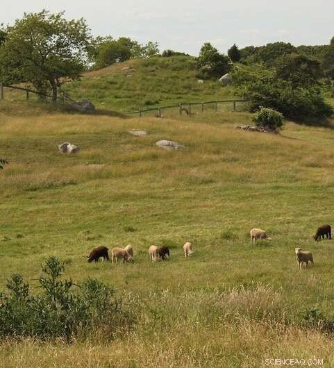 How Climate, Not Human Fires, Shaped New England s Early Forests