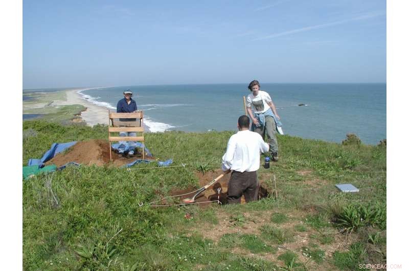 How Climate, Not Human Fires, Shaped New England s Early Forests