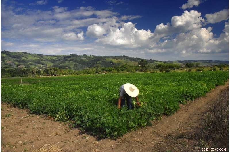 Discover How Climate Change Will Affect Your Backyard with This New Dataset