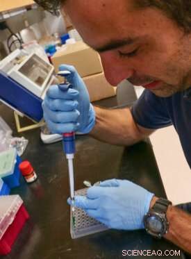 Study Links Poultry Processing to Coastal Water Pollution, Highlighting Nitrogen Threats