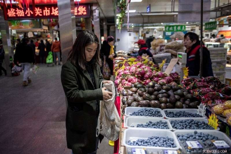 China’s Zero‑Waste Champions Challenge Overconsumption