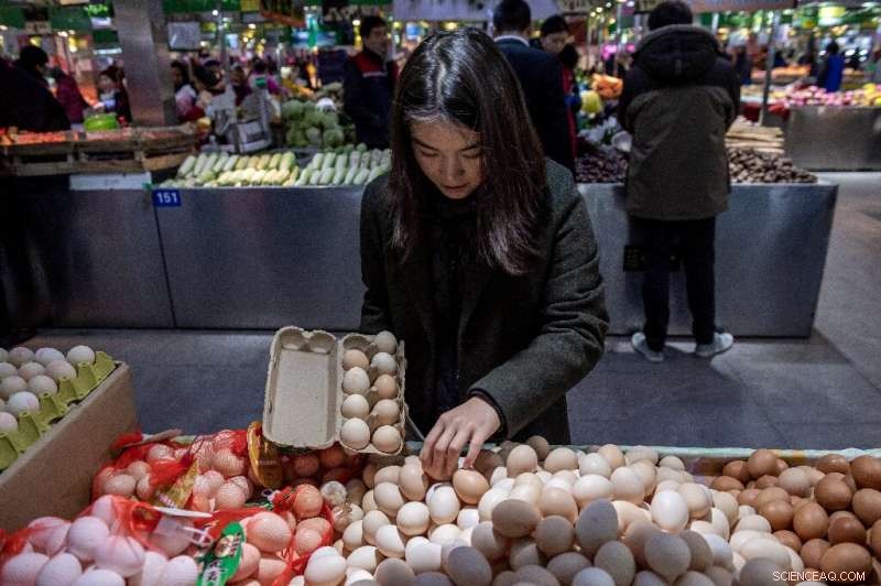 China’s Zero‑Waste Champions Challenge Overconsumption