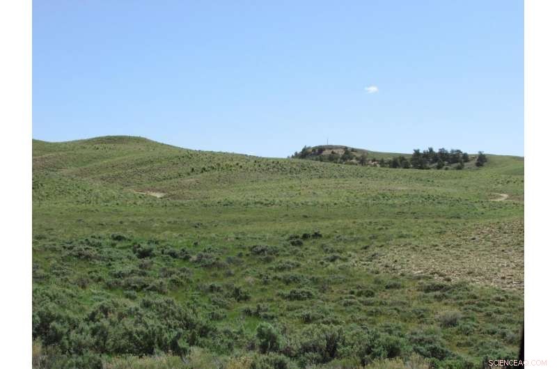 Research Validates Innovative Geomorphic Approach to Mine Reclamation