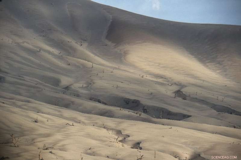 Signs of Life Resurface in the Ash-Covered No‑Man’s Land of the Taal Volcano